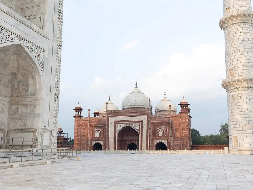 Chambal Safari Lodge – A Hidden Gem in Nature — Taj Mahal