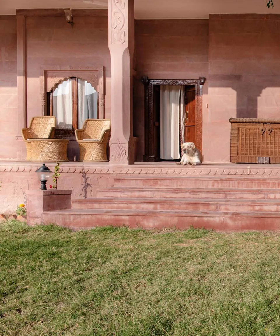 What we love — gallery photograph