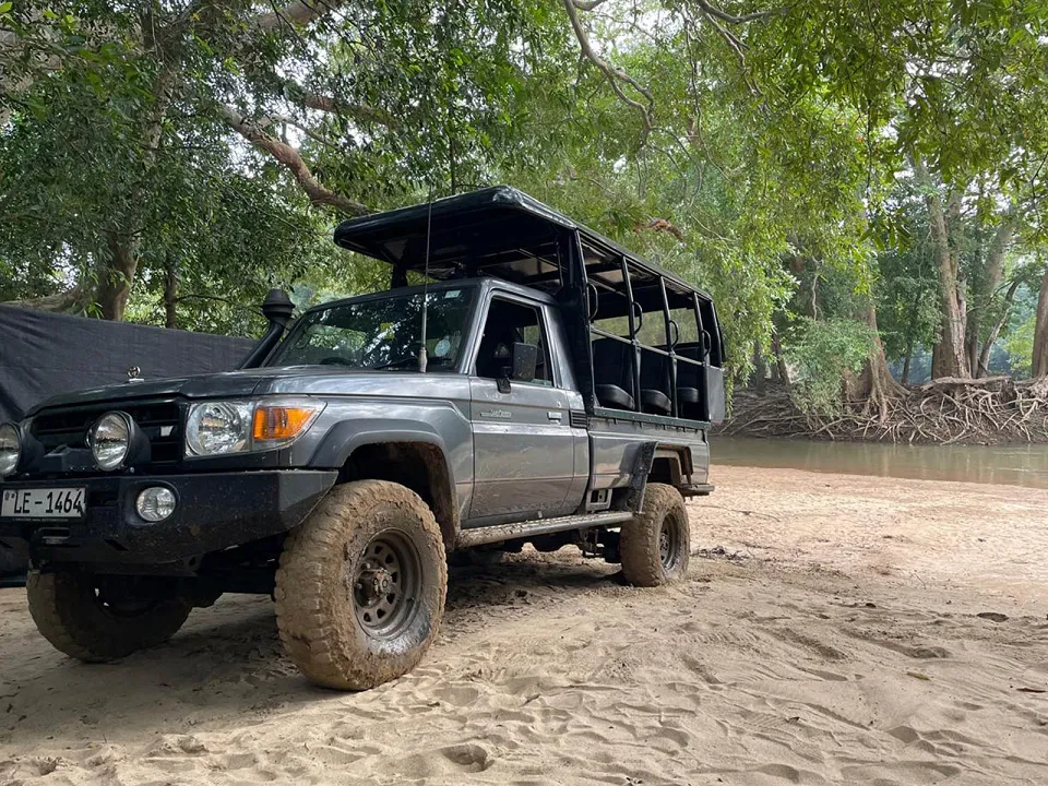 Our Guide to: Kumana National Park in Sri Lanka — Our Guide To Kumana National Park In Sri Lanka