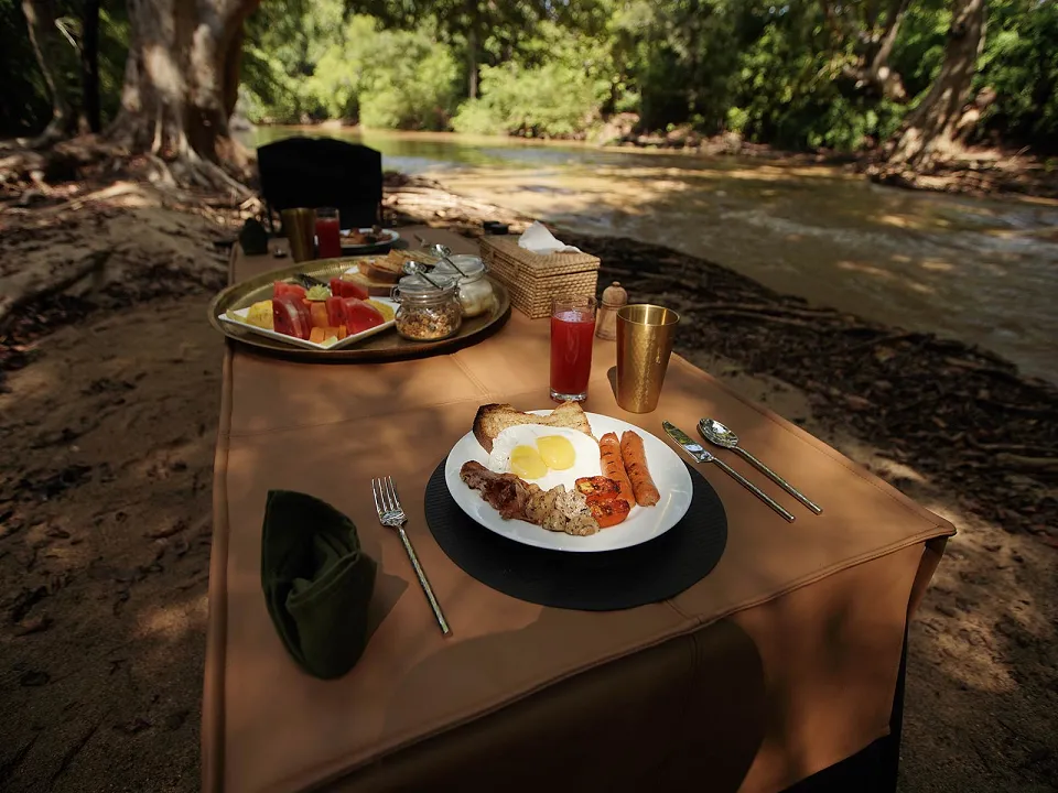 Our Guide To Kumana National Park In Sri Lanka Slider View 3 — Our Guide to: Kumana National Park in Sri Lanka