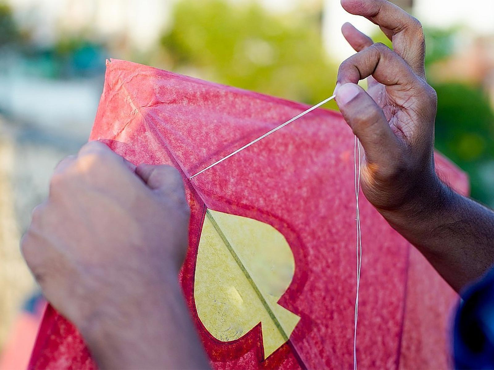 A Day for Kids - Memorable travel experience photo