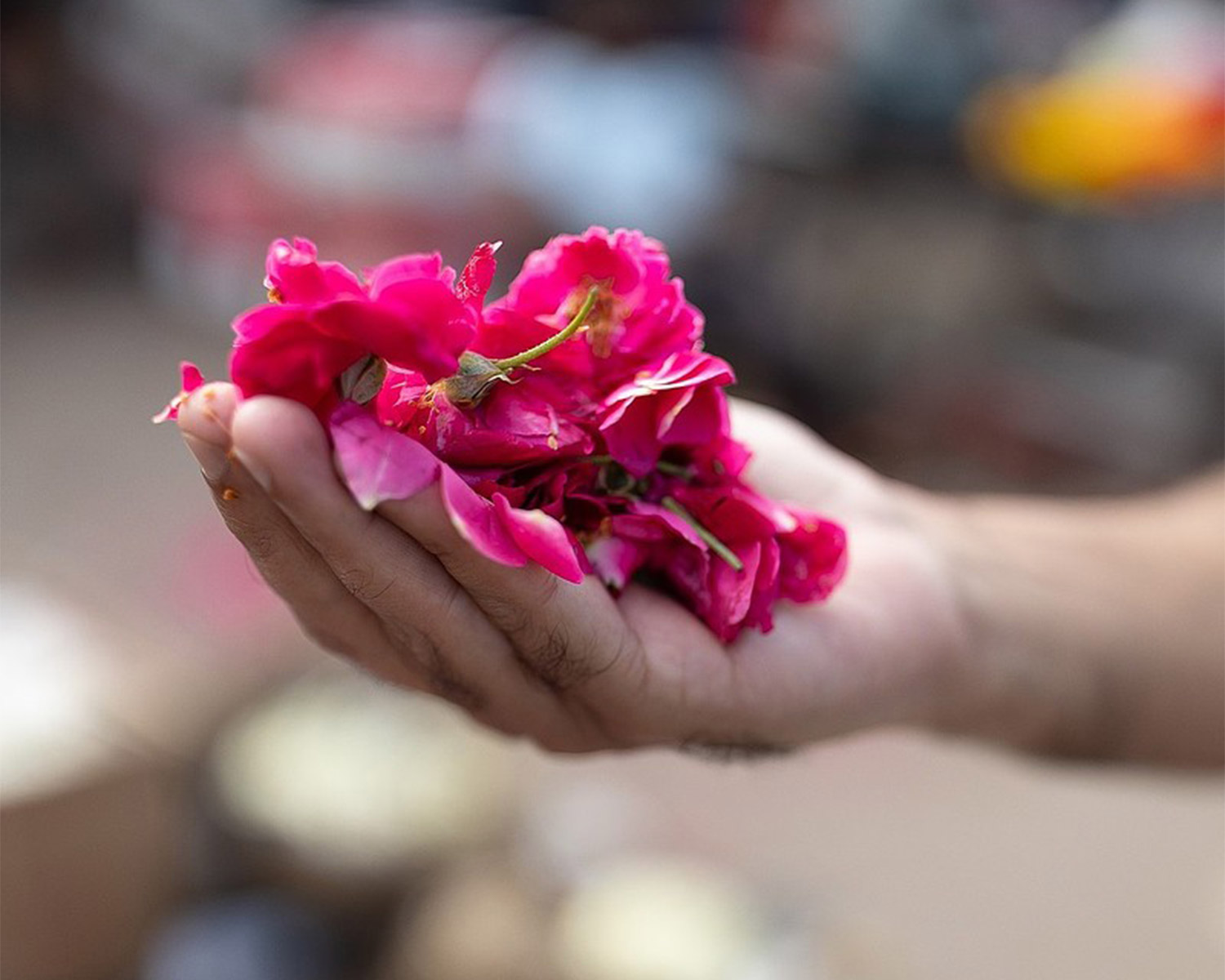 Morning Flower Market - Memorable travel experience photo