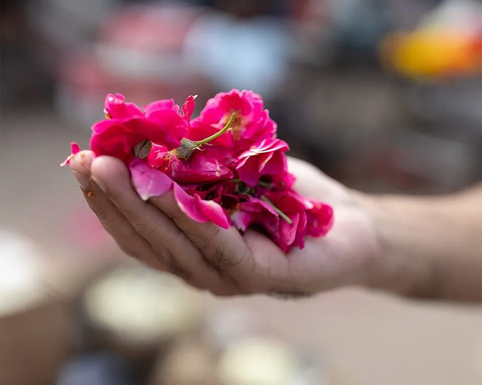 Morning Flower Market - Memorable travel experience photo — gallery photograph 4