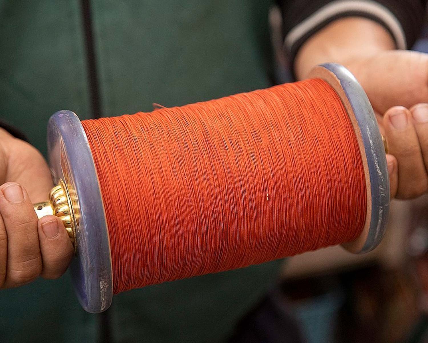 Rickshaw Ride & Kite Flying for Kids - Memorable travel experience photo