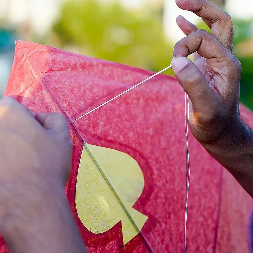 Rickshaw Ride & Kite Flying for Kids - Memorable travel experience photo — gallery photograph 2