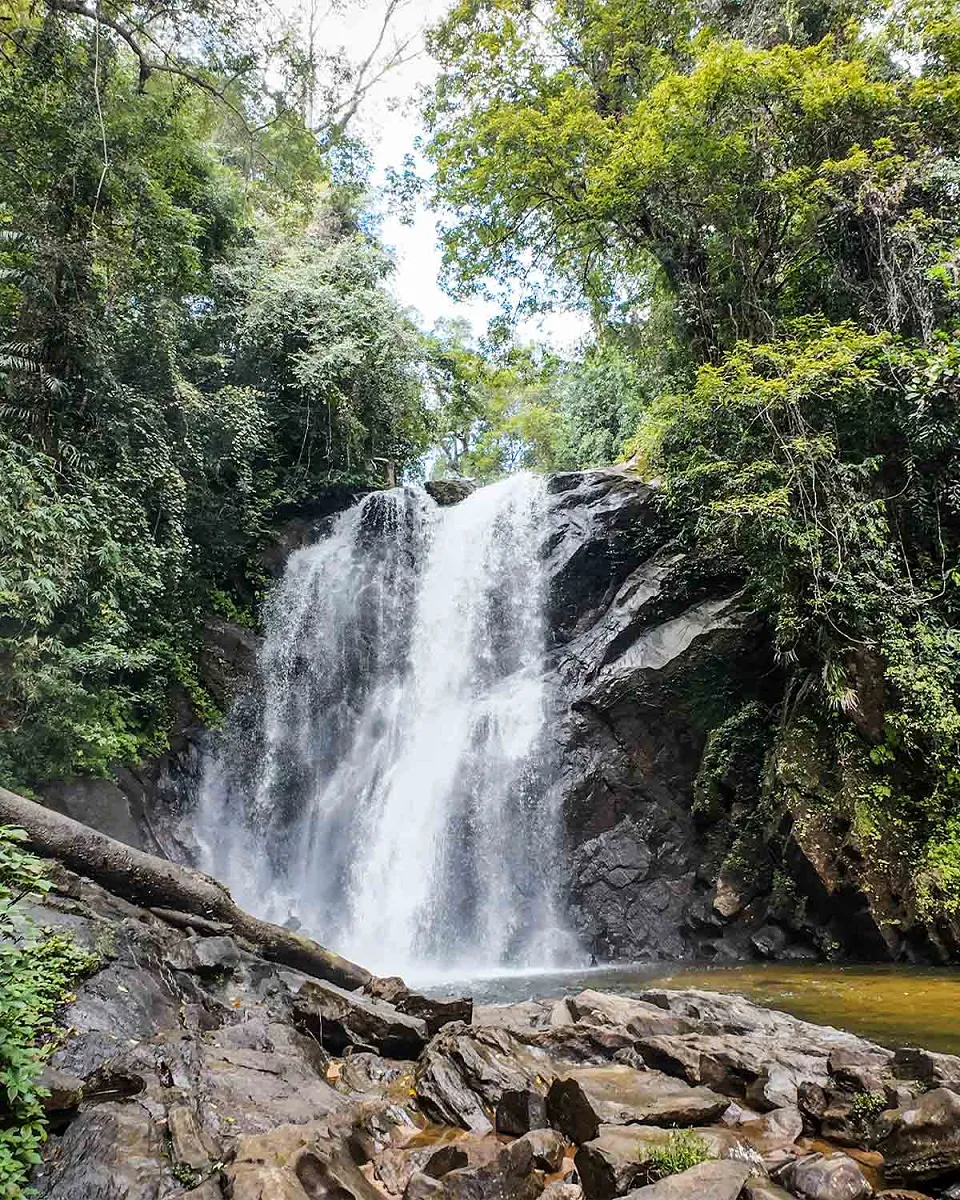 Sinharaja and Kitugala — travel photograph