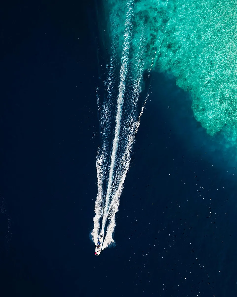 Maldives landscape detail view