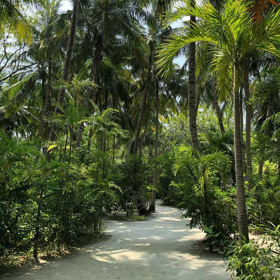 Featured places in Maldives panoramic view