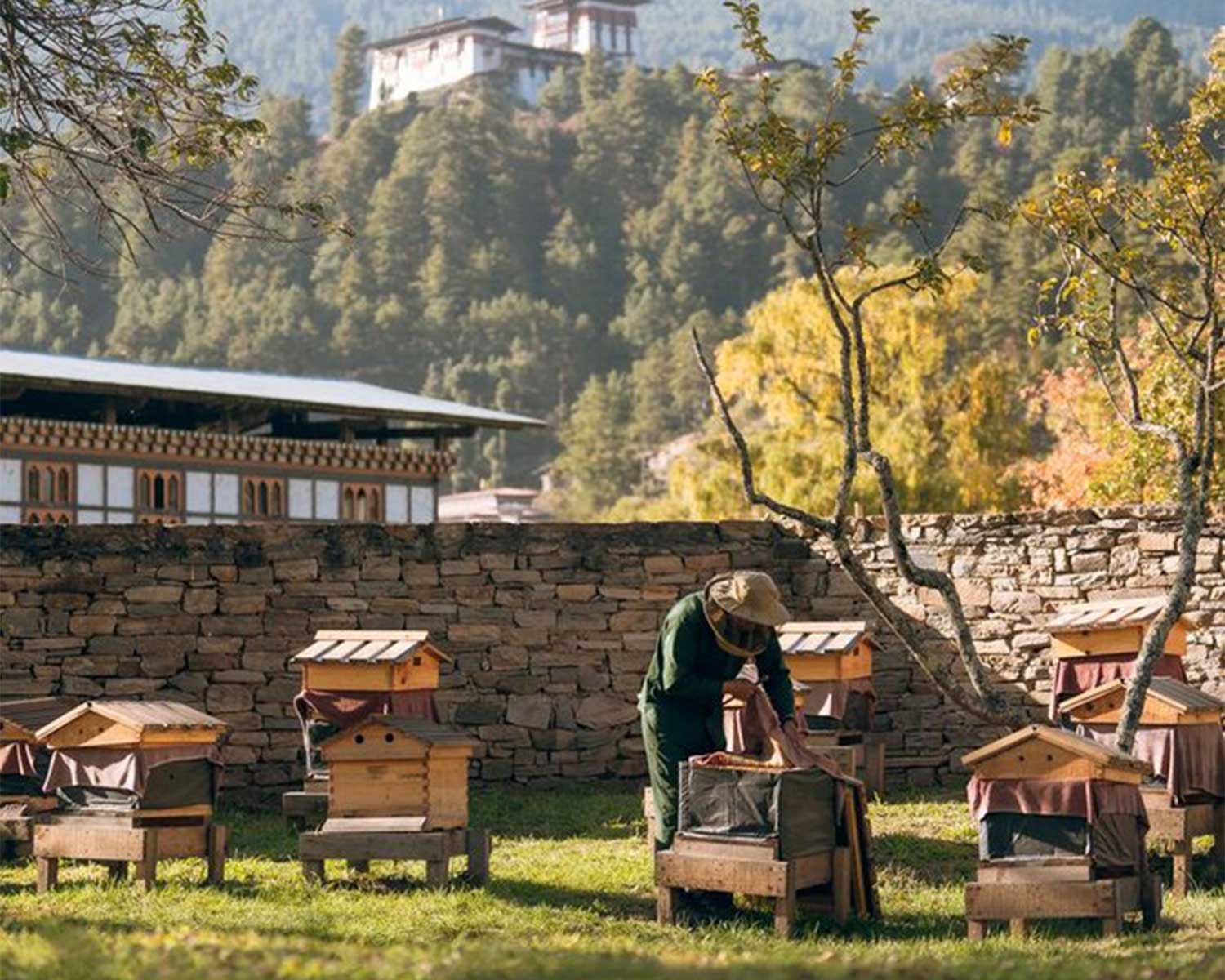 Amankora - Luxury hotel