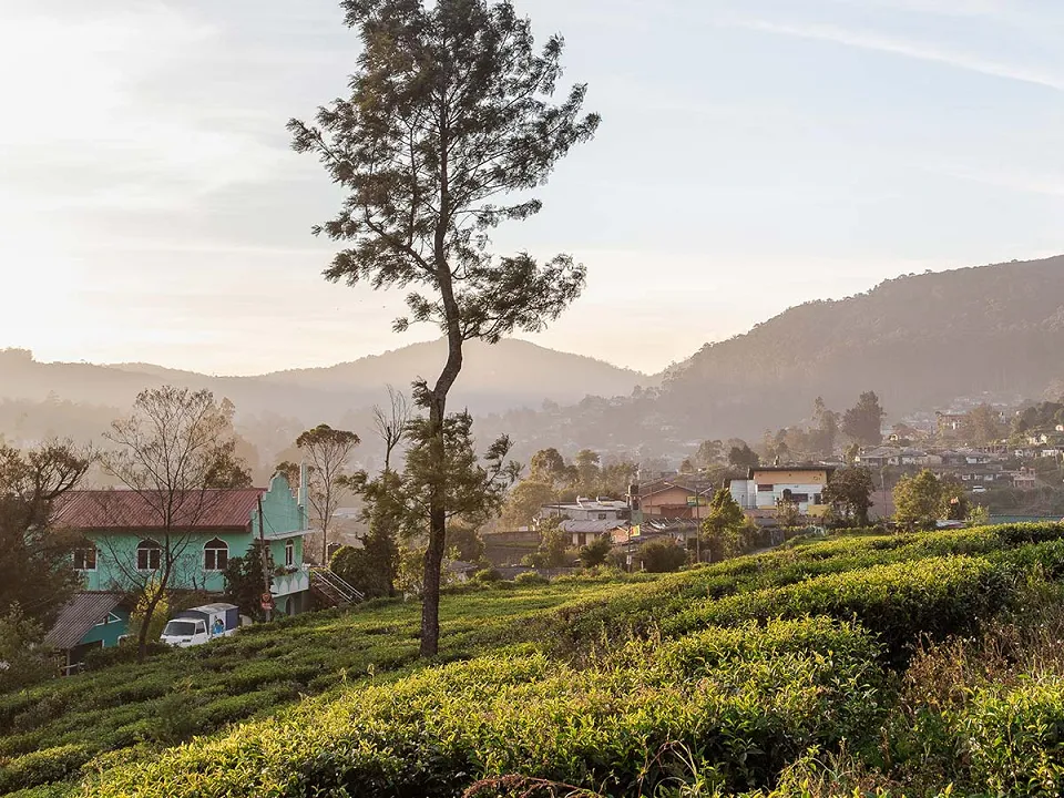 Curated experiences in Sri Lanka — Weather Small