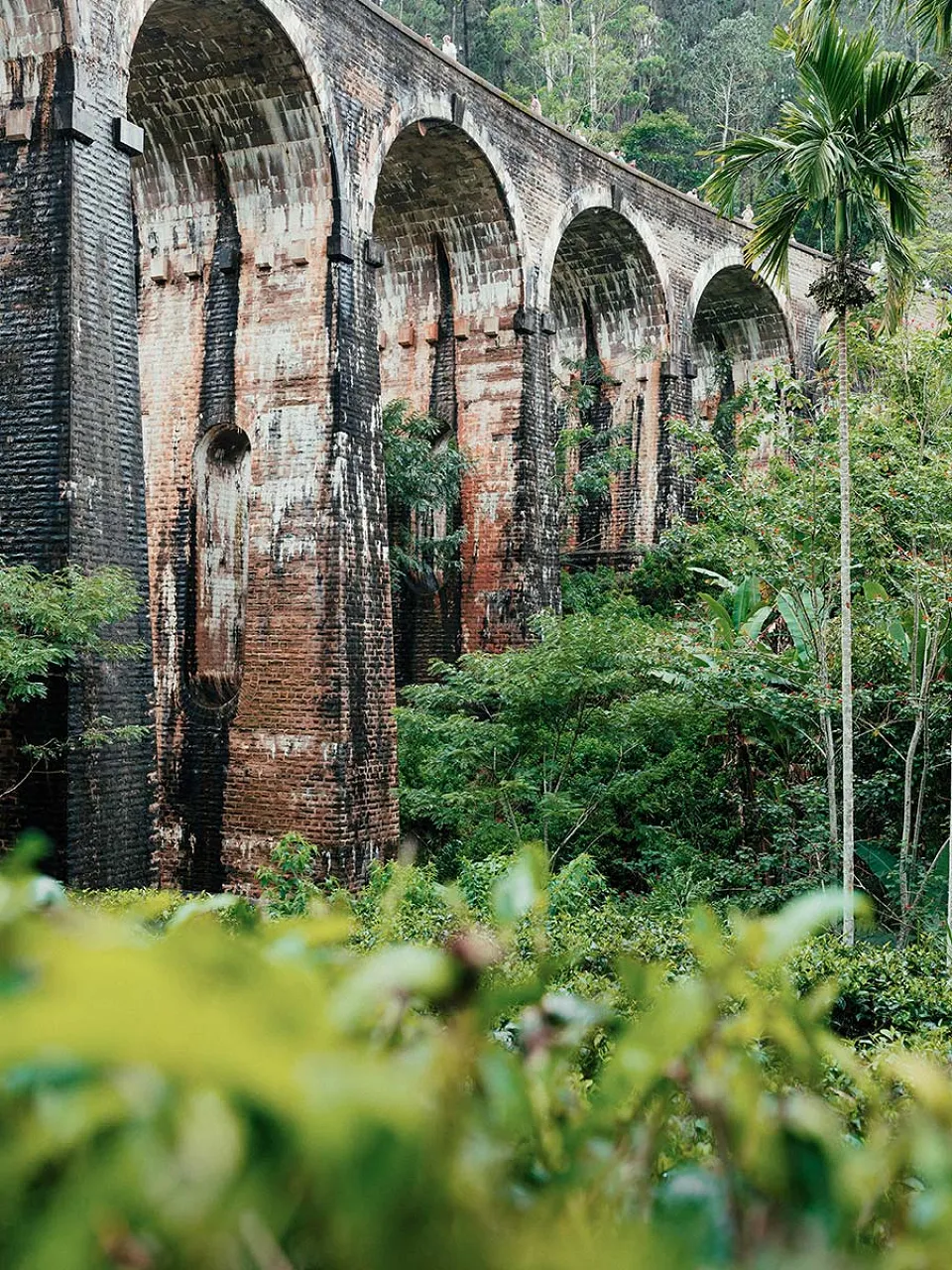 Sri Lanka-gallery — gallery photograph 2