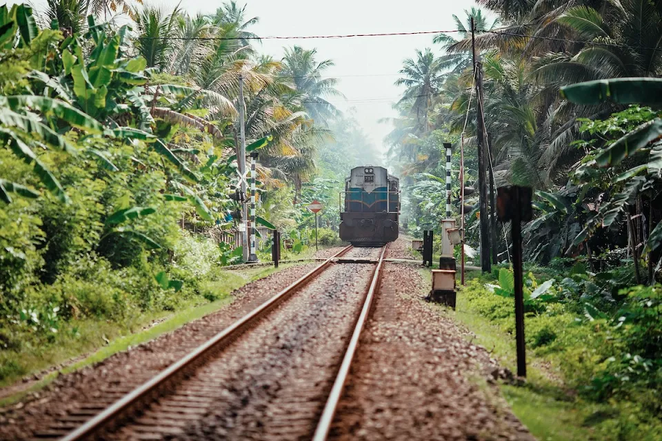 July & August – A Hidden Sweet Spot on the South Coast — Red Dot Sri Lanka