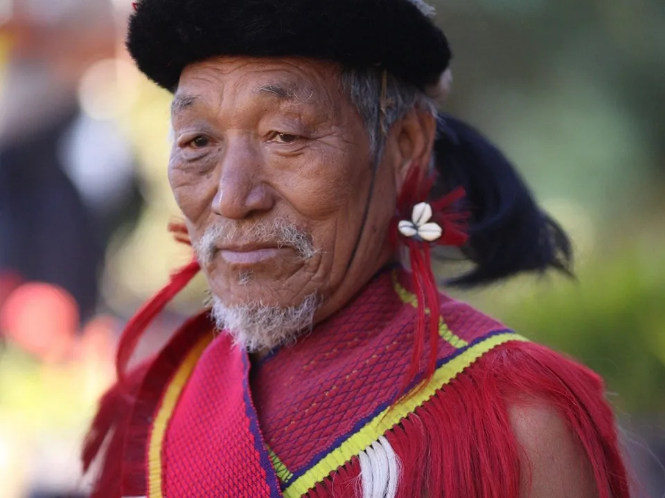 A Taste of Nagaland: Flavours That Define Naga Food — Why We Love The Hornbill Festival In Nagaland View 1
