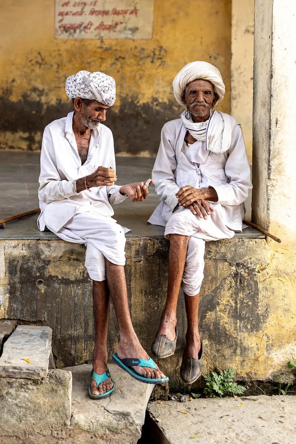 Classic Rajasthan — Kate Pook India2025 View 168