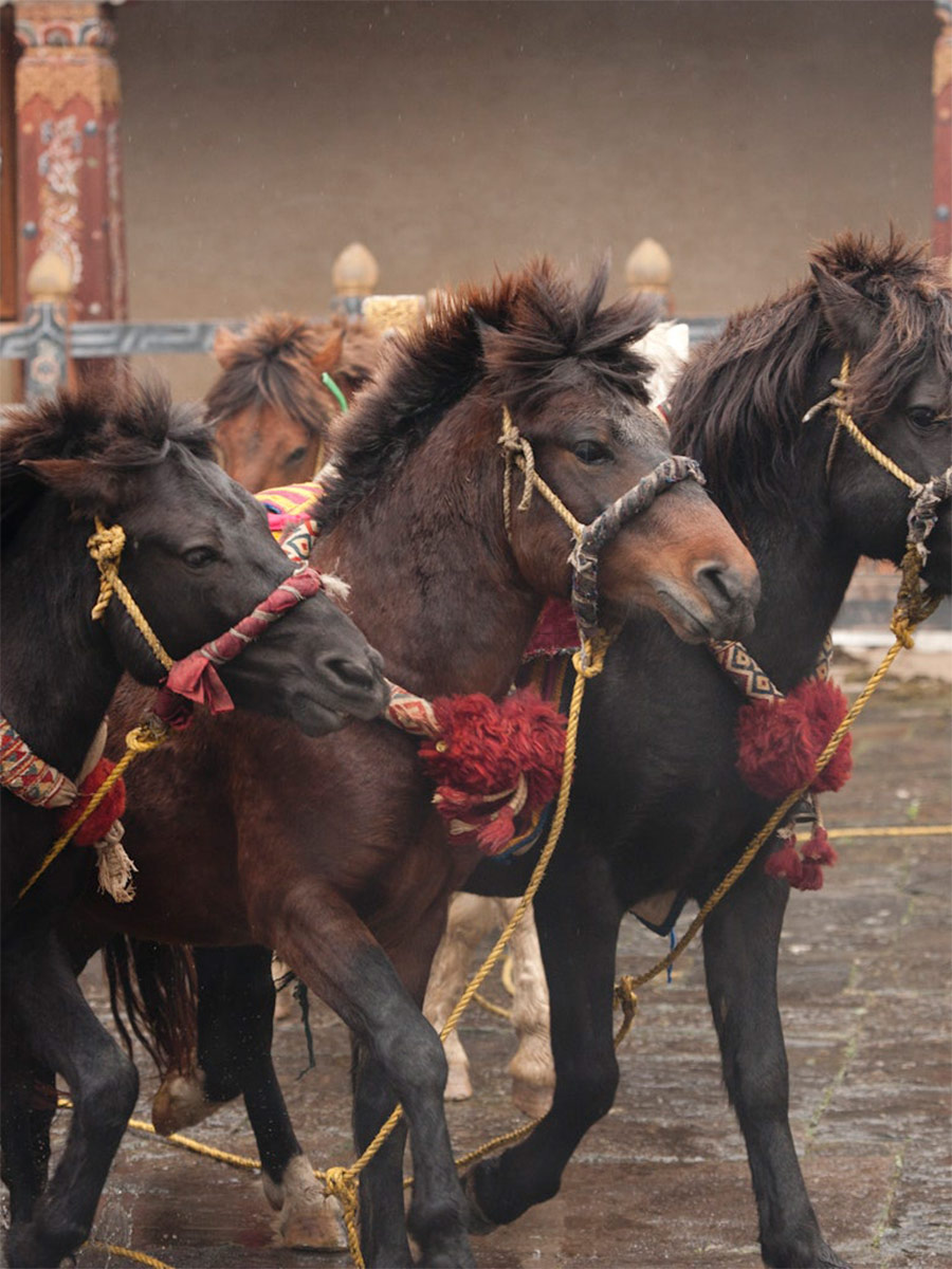 COMO Uma Paro - Luxury hotel