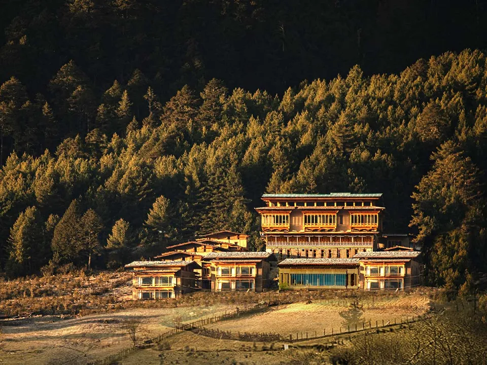 Taj Gangtey — hotel photograph