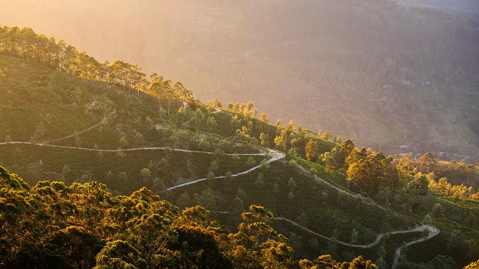Mapbackground — Tailor-Made Sri Lanka Tours