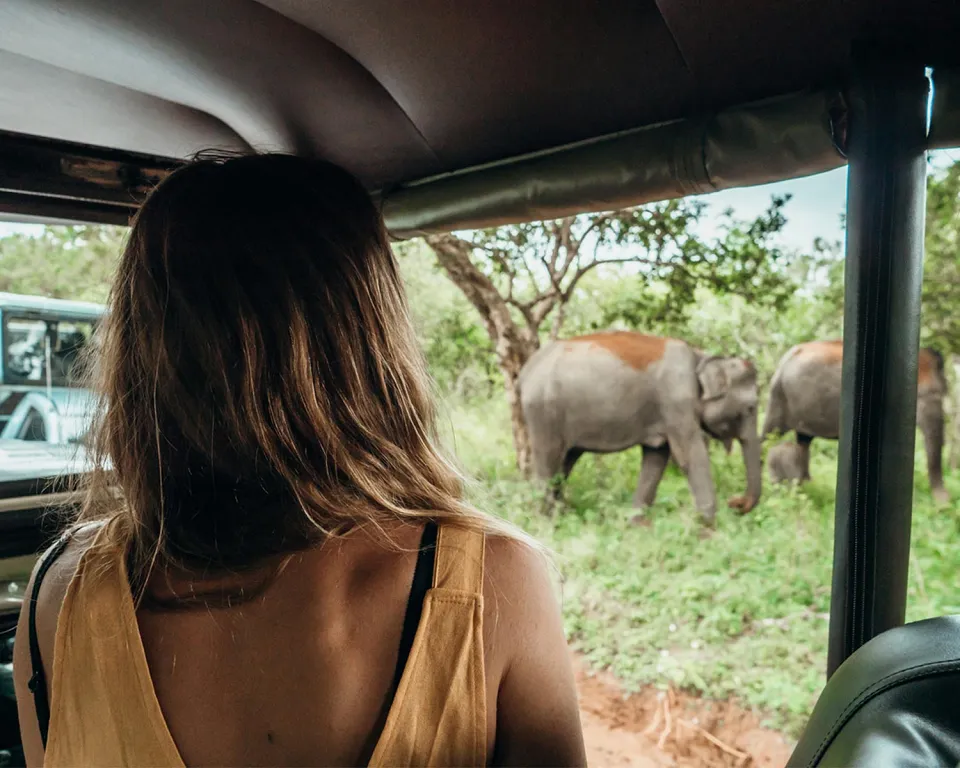 Standard / Cultural Itinerary — Packing View 1