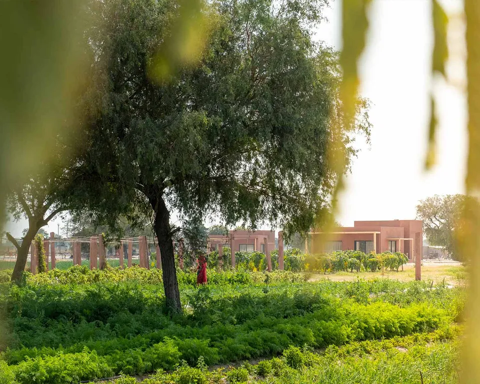 Ramathra Fort – Aravalli Hills — Mharo Khet View 5
