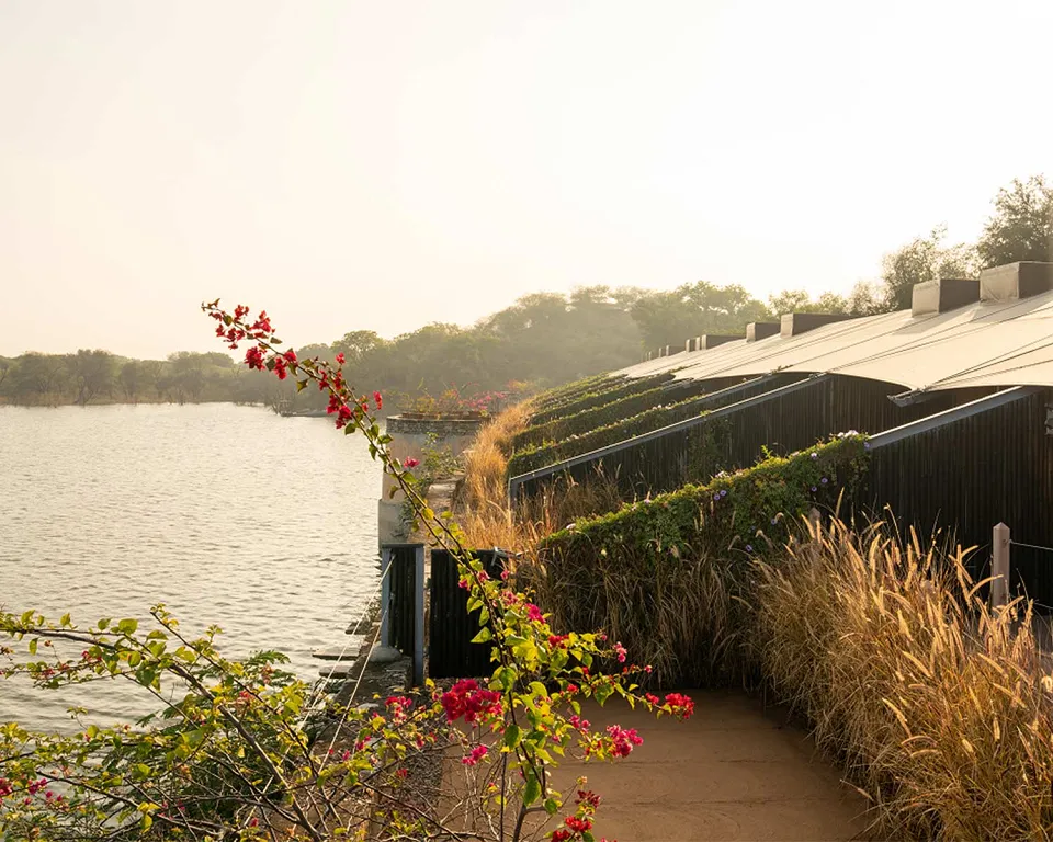 Anopura - Jaipur — Chhatrasagar