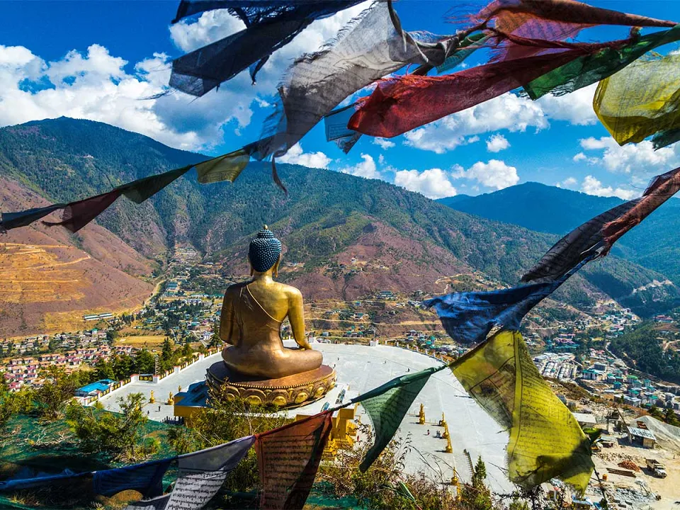 5. Darjeeling tea plantations — Mountain Monasteries