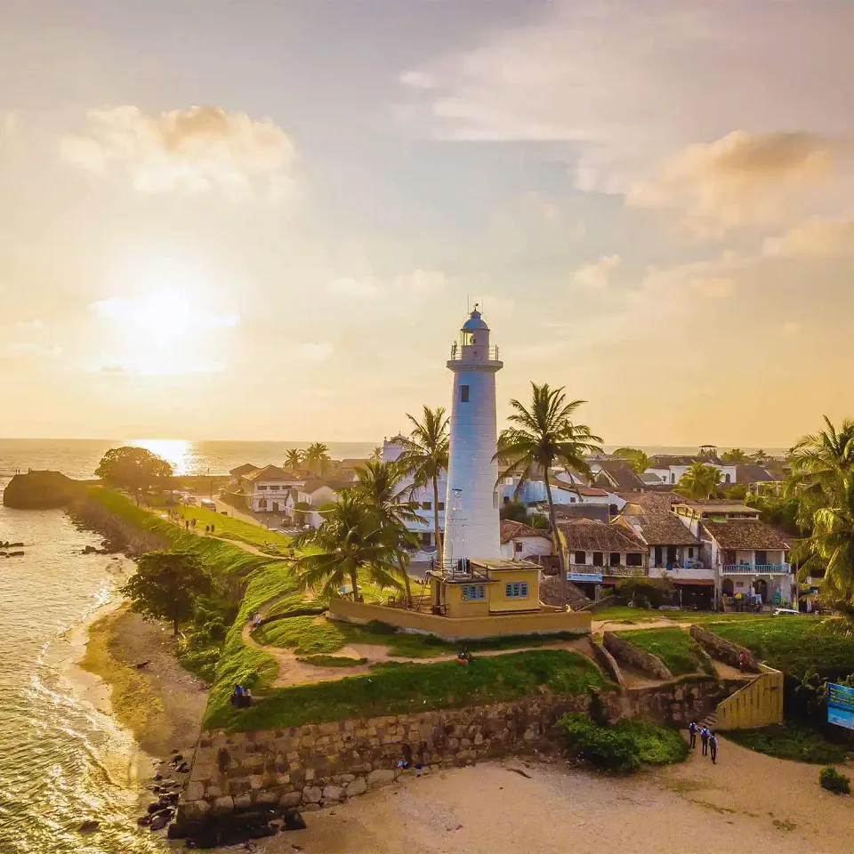 What Vaccinations Do I Need for Sri Lanka? — Thumbanil