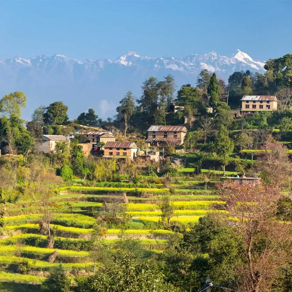 Terraced fields and hillside homes beneath the Himalayas in Nepal