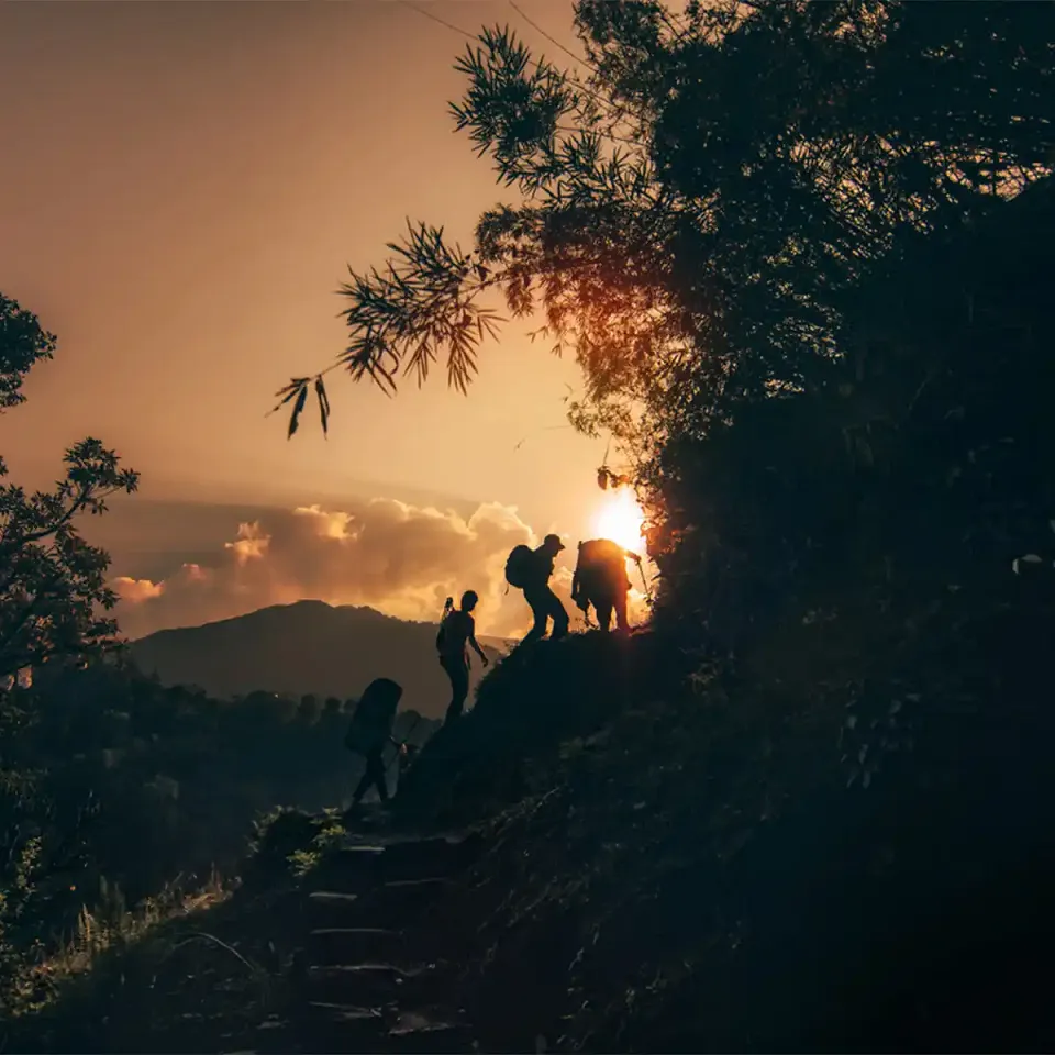 Trekkers climbing a forest trail at sunset in Nepal