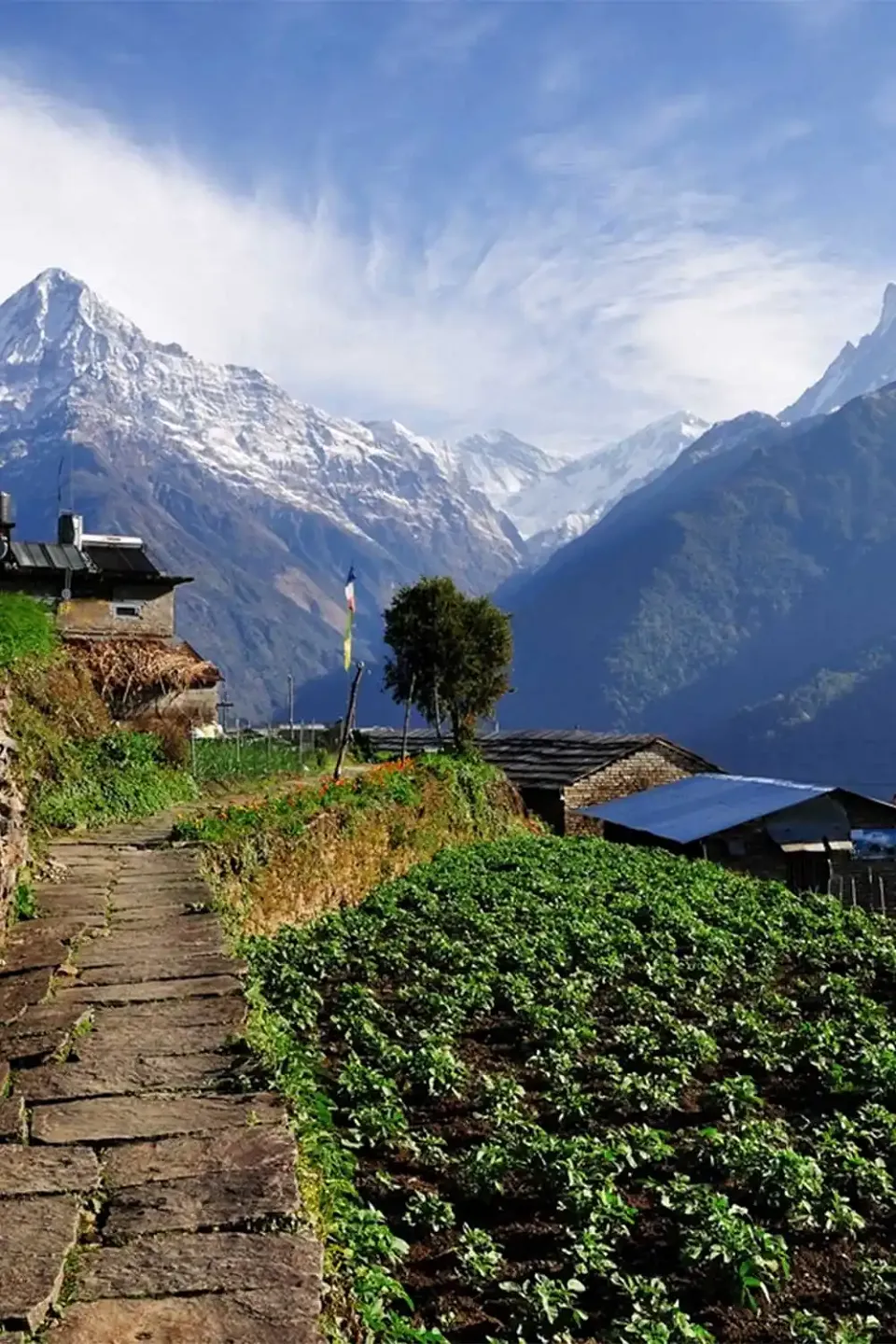 Nepal travel scene 2