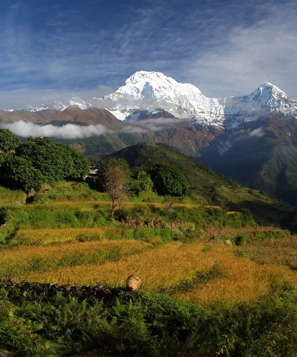 Tiger Mountain Pokhara Lodge - Luxury hotel