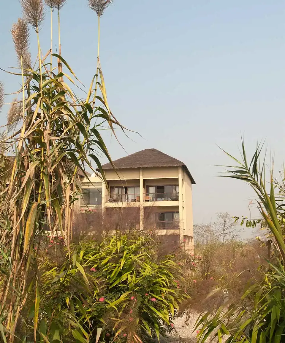 A Taj Safari - Luxury hotel