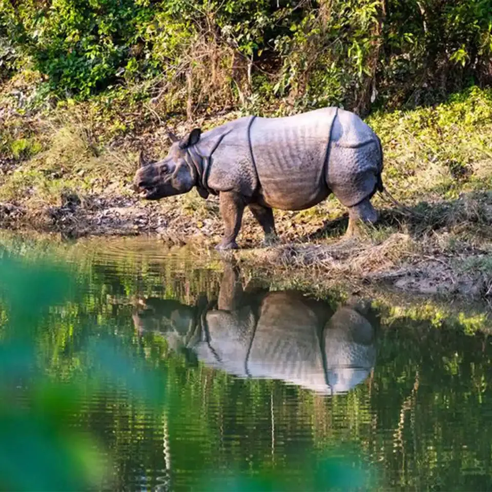 Tiger Tops Tharu Lodge - Luxury hotel