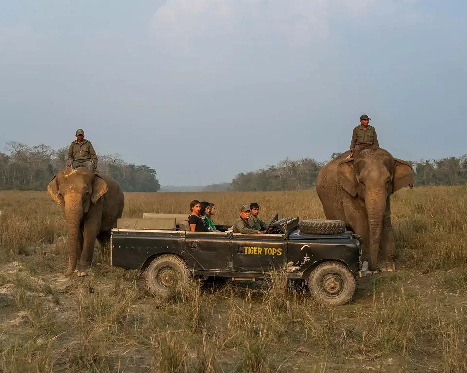 Tiger Tops Tharu Lodge - Luxury hotel — gallery photograph 4