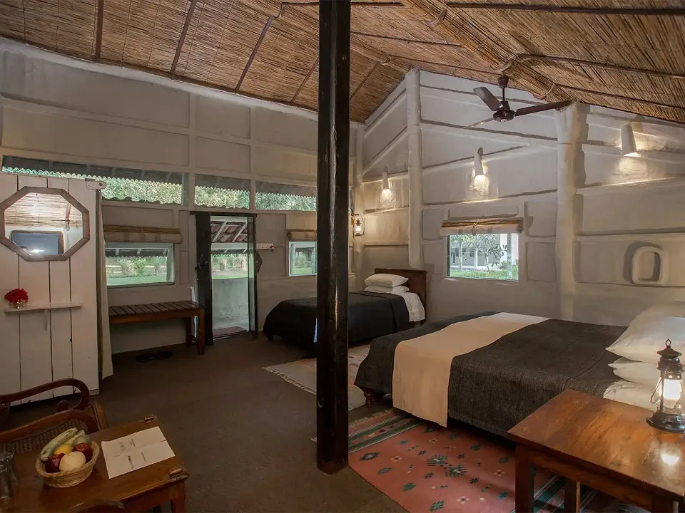 Tiger Tops Tharu Lodge - Luxury hotel — gallery photograph 7