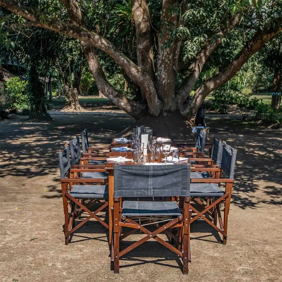 Tiger Tops Tharu Lodge - Luxury hotel — gallery photograph 9