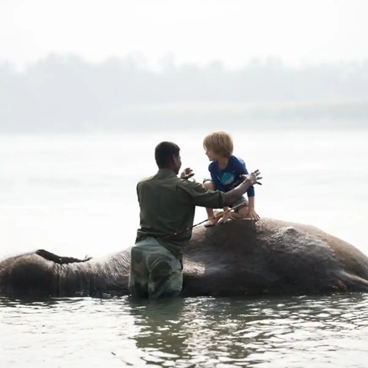 Tiger Tops Tharu Lodge - Luxury hotel