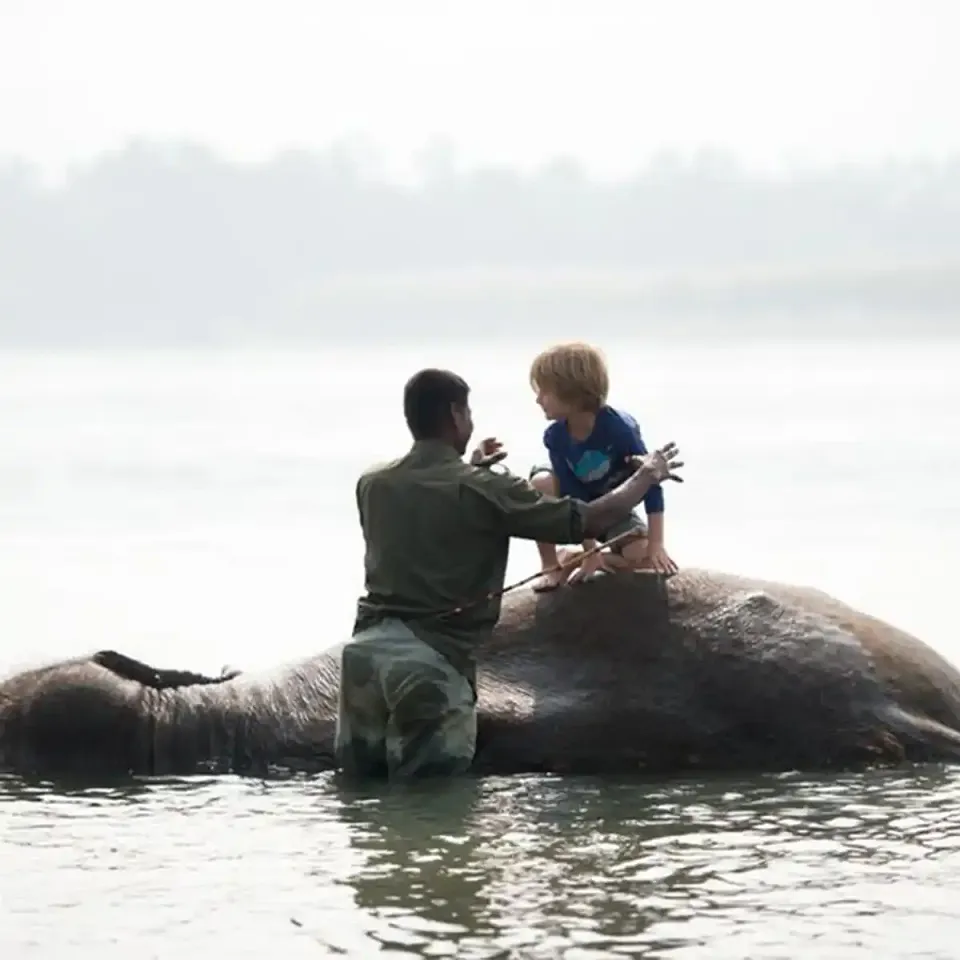 Tiger Tops Tharu Lodge - Luxury hotel — gallery photograph 12
