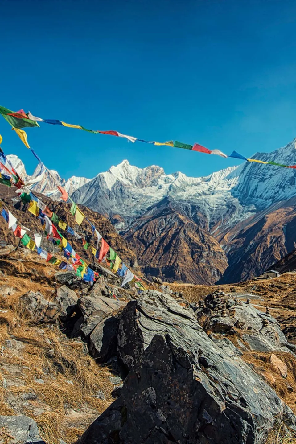Best of Nepal — itinerary photograph
