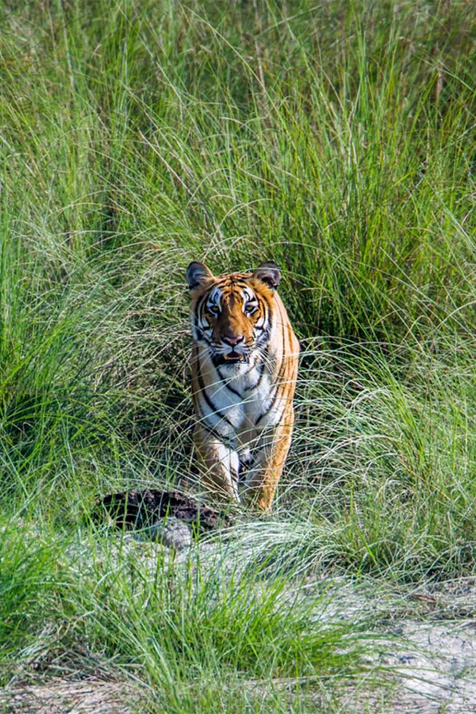 Highlights of Nepal — itinerary photograph