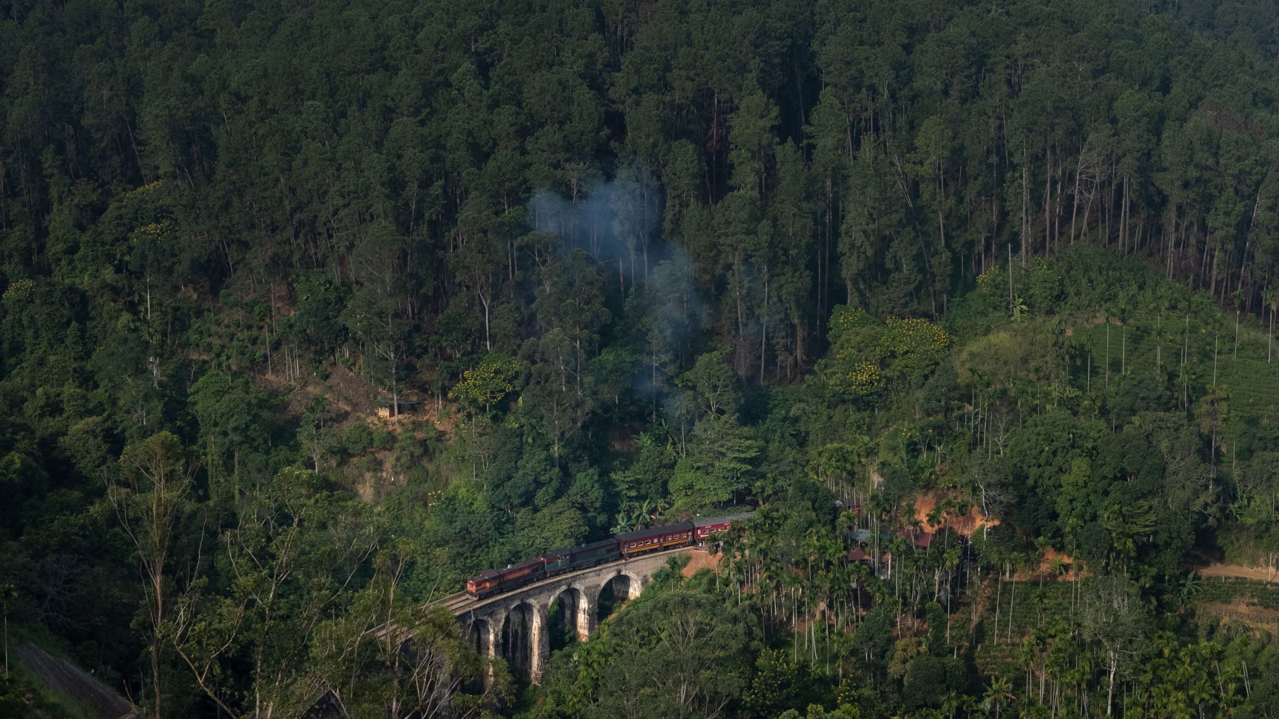 An aerial shot of a train going over Nine Arches bridge in Ella as seen from Uga Ghiri, Sri Lanka