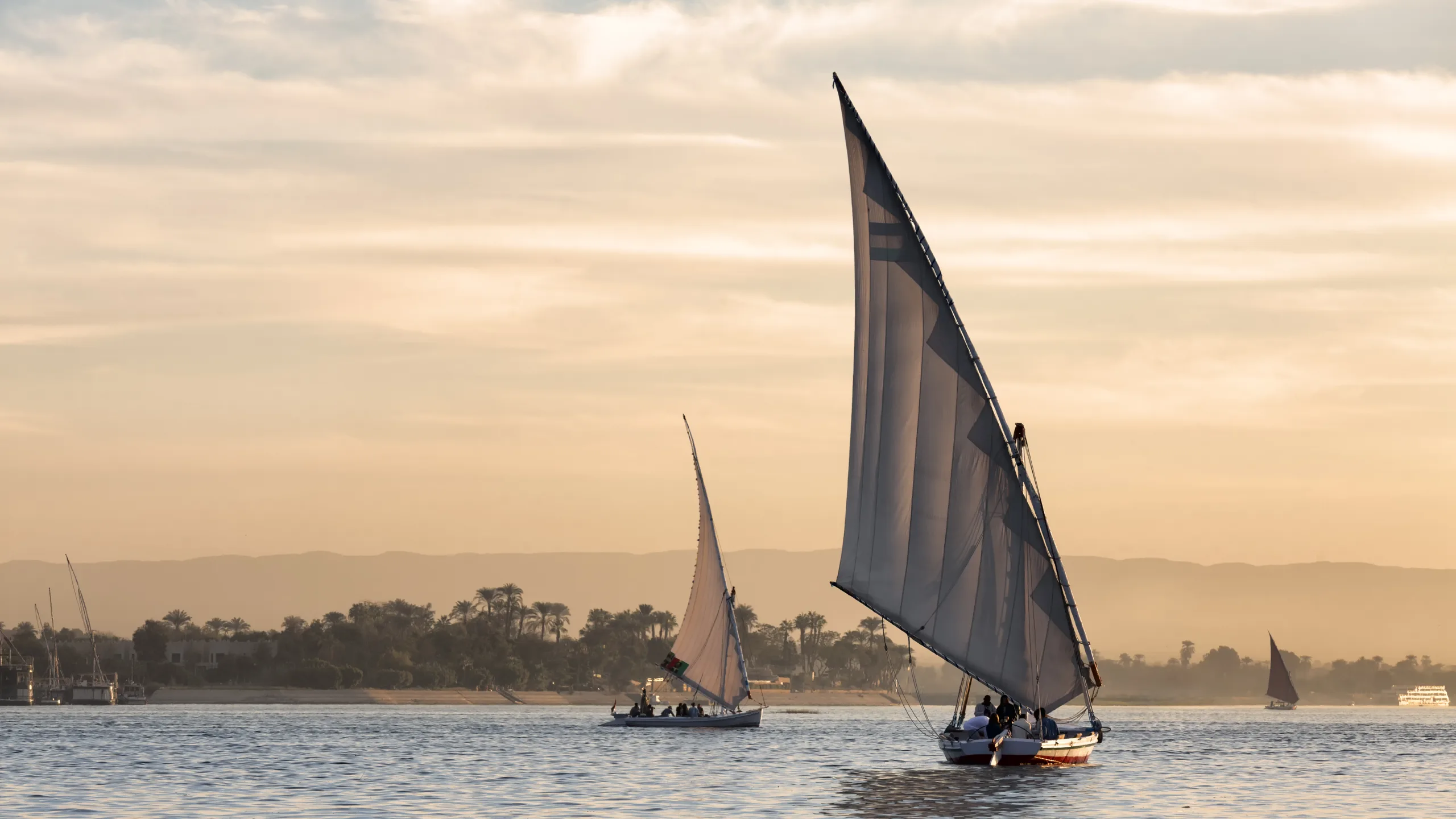 Feluccas sailing on the Nile in Egypt