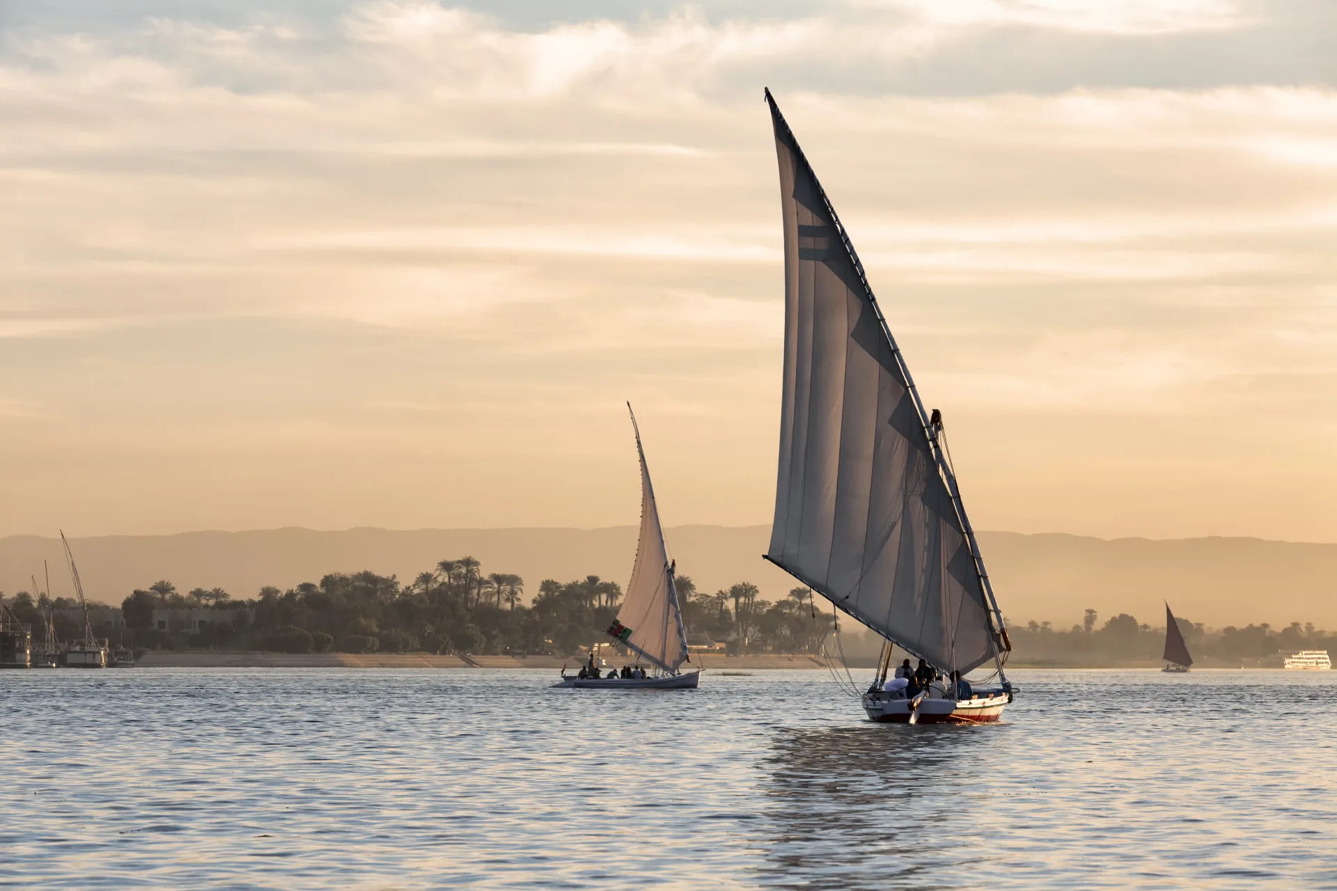 Traditional feluccas sailing on the Nile in the golden evening light