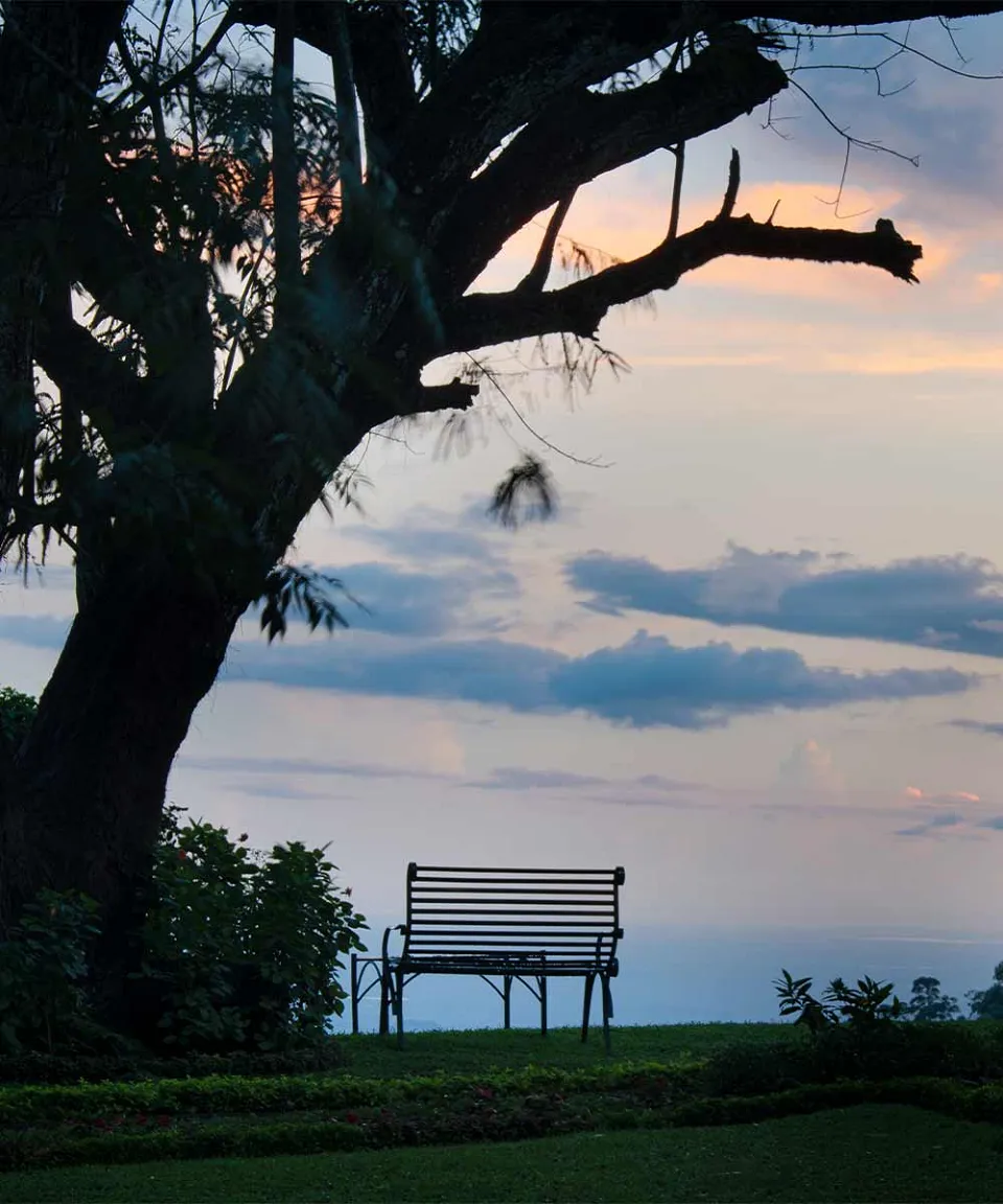 What we love — gallery photograph 4