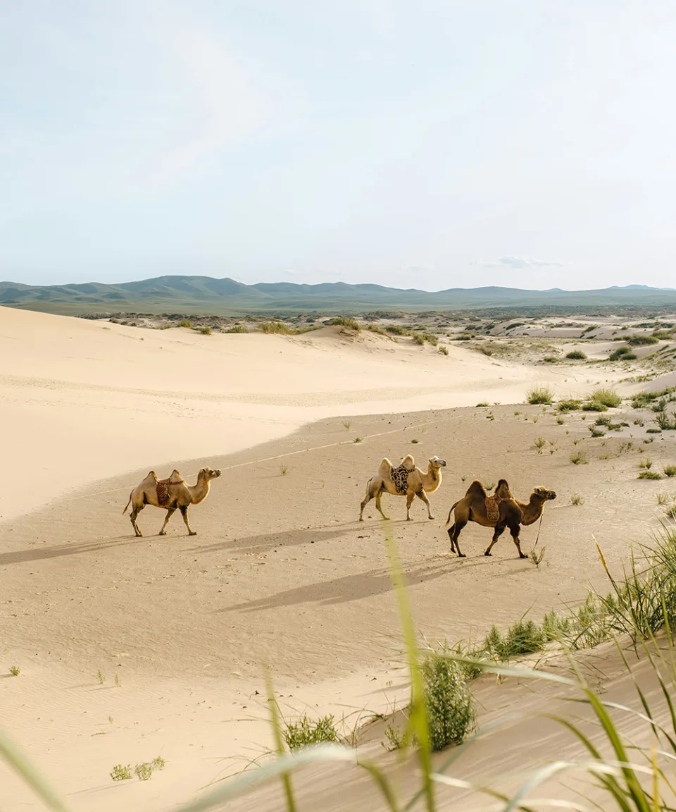 A World of Possibilities — Beyond The Subcontinent Gallery View 11