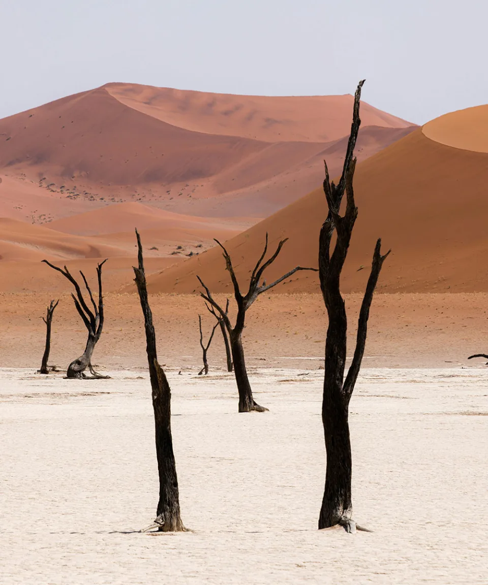Beyond The Subcontinent Gallery View 9 — Destinations