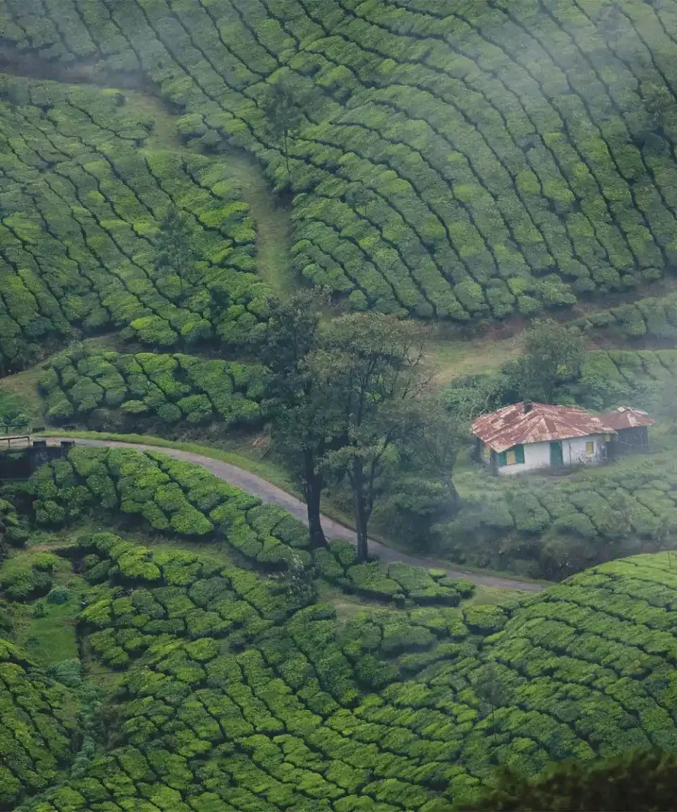 Getting around India — travel photograph
