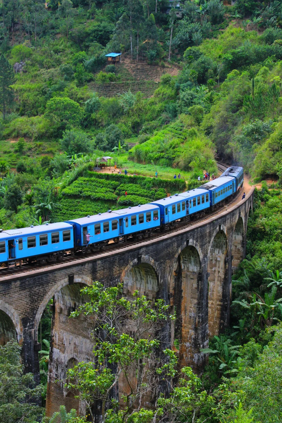Guiding in Sri Lanka — Guidinn In Sri Lanka