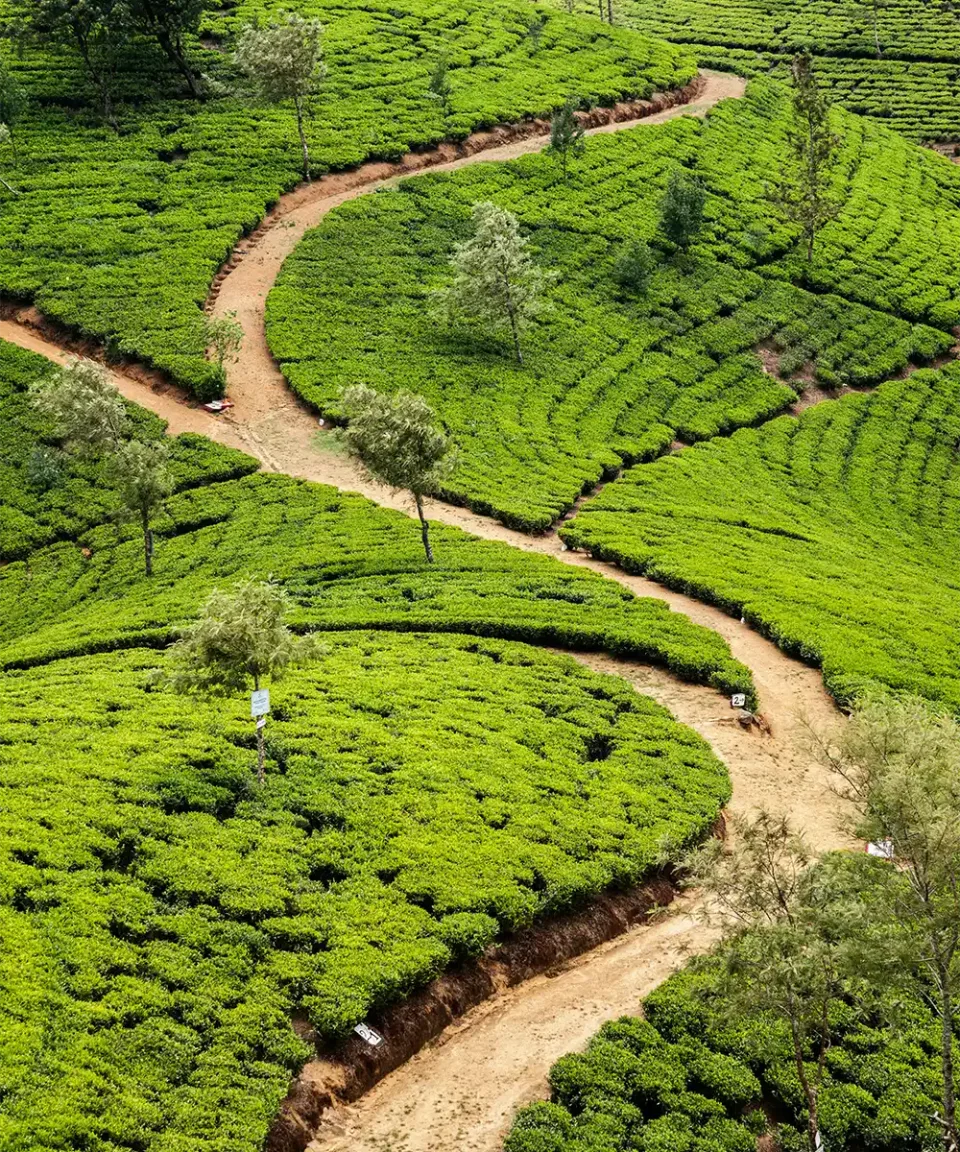 Trip Design — travel photograph