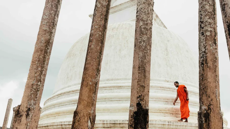 Culture and History — Culture And History Main Header