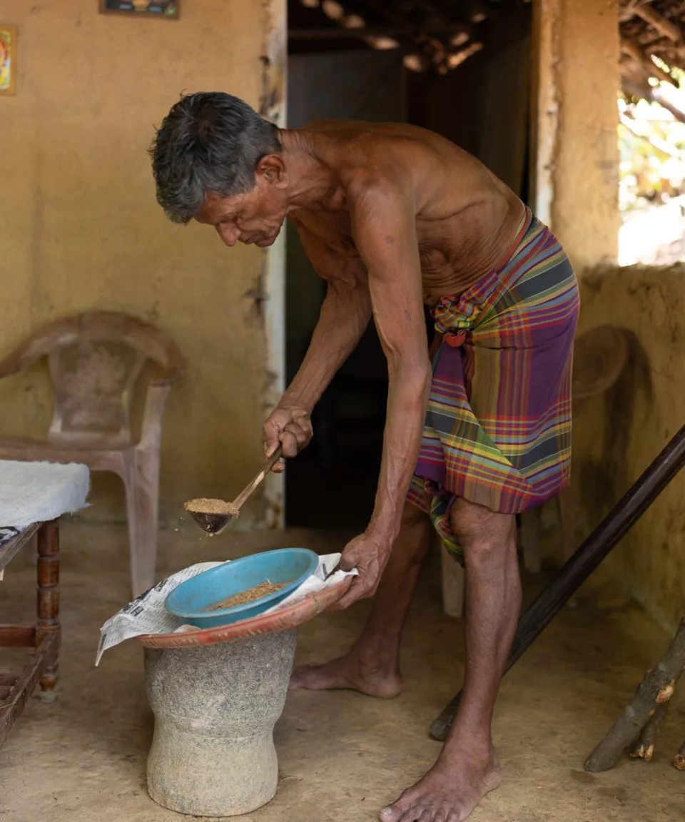 Cinnamon Planters — Culture And History Sri Lanka Feature View 3